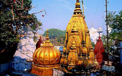 kashi vishwanath temple varanasi